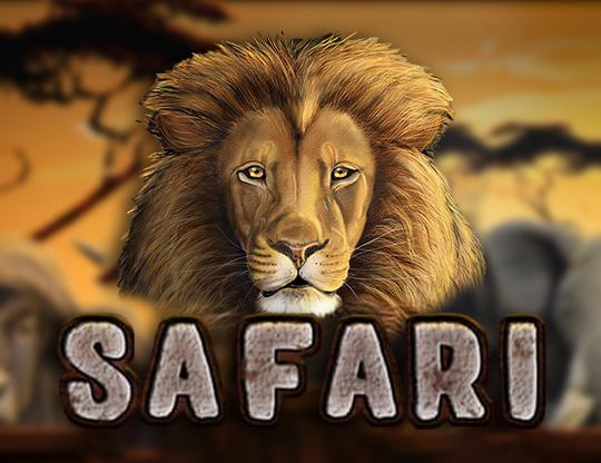 Safari