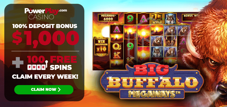 Big Buffalo 100 Free Spins - Power Play