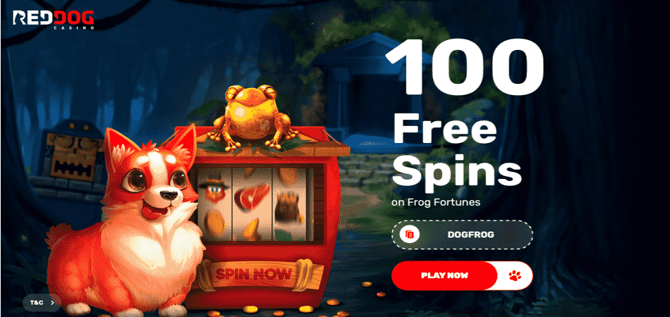 100 Free Spins Bonus Code on Frog Fortunes