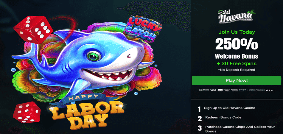 Labor Day Bonus Code for Lucky Catch slot game