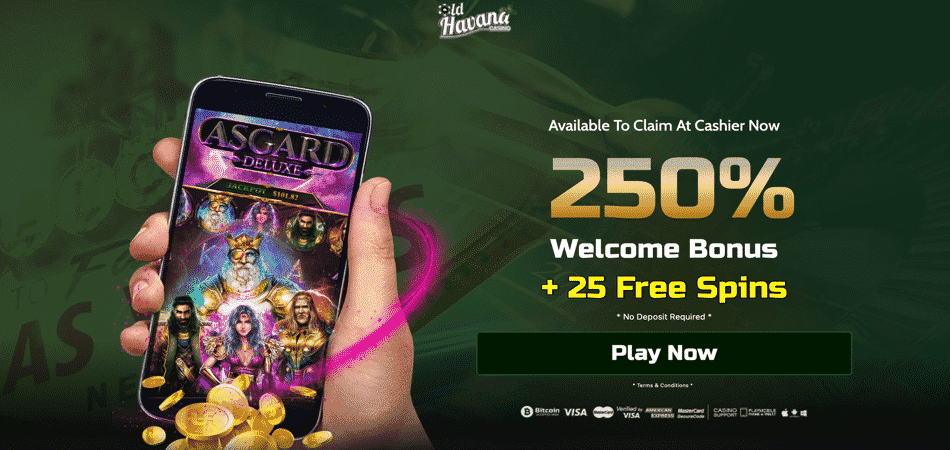 Asgard Deluxe Slots 25 Spins Bonus Code