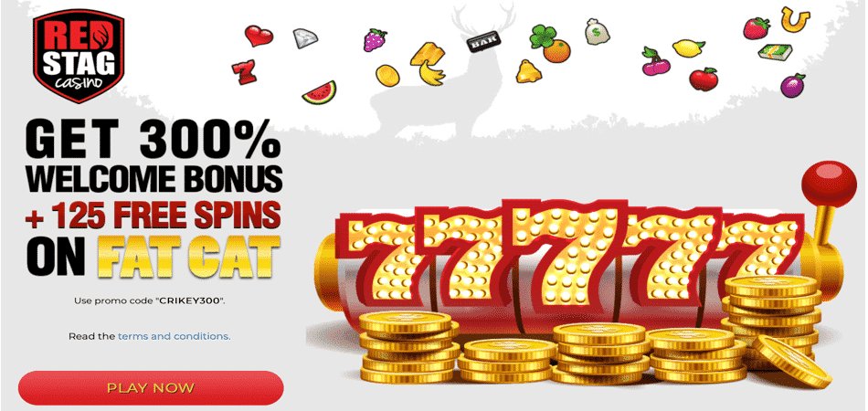 Fat Cat Bonus Code RedStag Casino