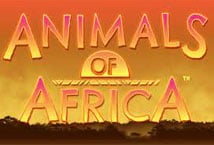 Animals of Africa