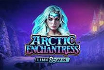 Arctic Enchantress