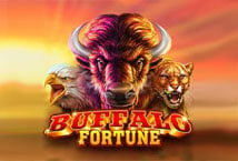 Buffalo Fortune