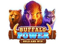 Buffalo Power Hold and Win