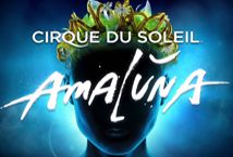 Cirque Du Soleil Amaluna