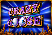 Crazy Goose