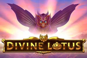 Divine Lotus