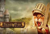 Feline Fury