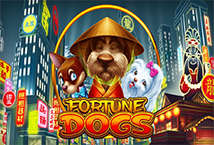 Fortune Dogs