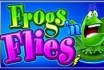 Frogs N Flies