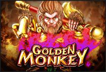 Golden Monkey