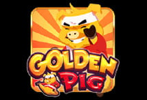 Golden Pig