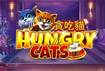 Hungry Cats