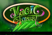 Magic Forest (Caleta)