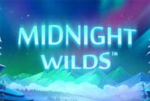 Midnight Wlilds