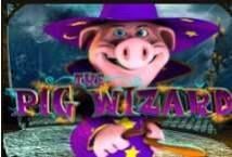 Pig Wizard