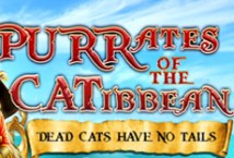 Purrates of the Catibbean