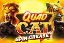 Quad Cat Spin-crease