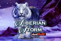 Siberian Storm Dual Play