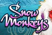 Snow Monkeys