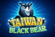 Taiwan Black Bear