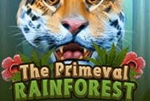 The Primeval Rainforest