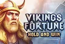 Vikings Fortune Hold and Win