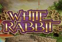 White Rabbit