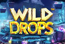 Wild Drops