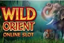 Wild Orient