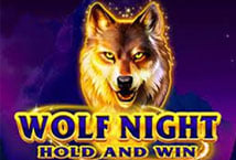 Wolf Night