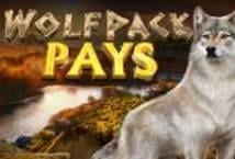 Wolfpack Pays