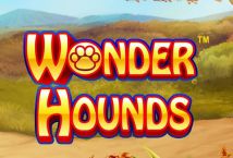 Wonder Hounds